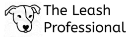 rayne site logo