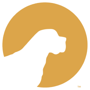 pet care ins logo