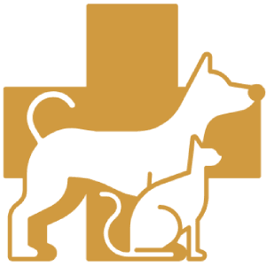 red cross pet first aid logo